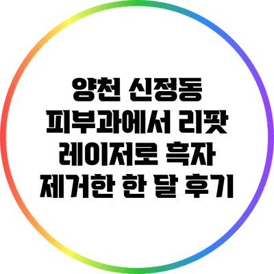 양천 신정동 피부과에서 리팟 레이저로 흑자 제거한 한 달 후기
