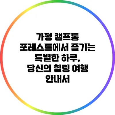 가평 캠프통 포레스트에서 즐기는 특별한 하루, 당신의 힐링 여행 안내서