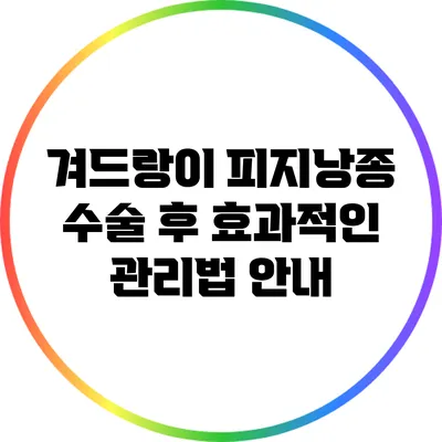 겨드랑이 피지낭종 수술 후 효과적인 관리법 안내