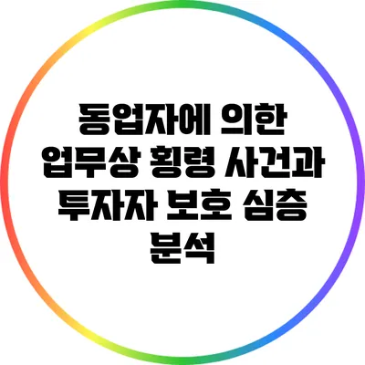 동업자에 의한 업무상 횡령 사건과 투자자 보호: 심층 분석