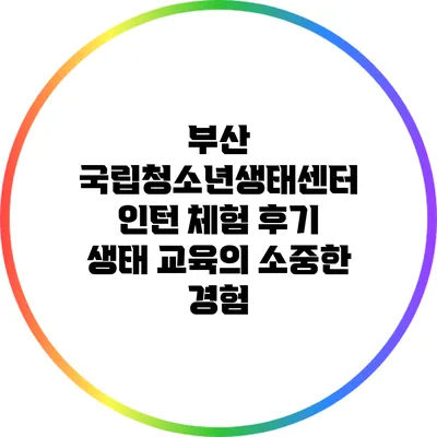 부산 국립청소년생태센터 인턴 체험 후기: 생태 교육의 소중한 경험