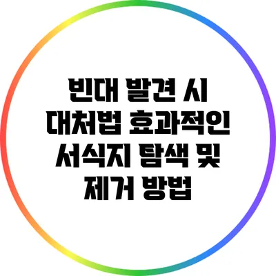 빈대 발견 시 대처법: 효과적인 서식지 탐색 및 제거 방법