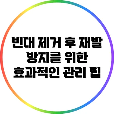 빈대 제거 후 재발 방지를 위한 효과적인 관리 팁