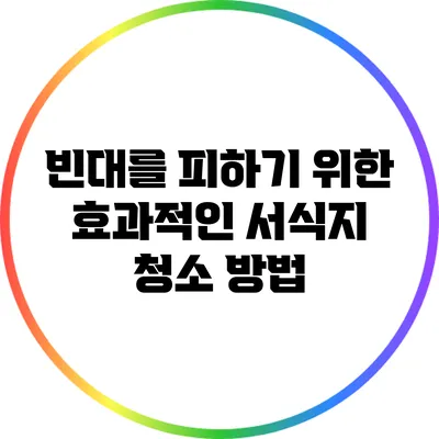 빈대를 피하기 위한 효과적인 서식지 청소 방법