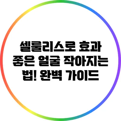 셀룰리스로 효과 좋은 얼굴 작아지는 법! 완벽 가이드