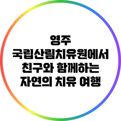 영주 국립산림치유원에서 친구와 함께하는 자연의 치유 여행