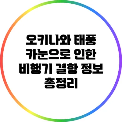 오키나와 태풍 카눈으로 인한 비행기 결항 정보 총정리