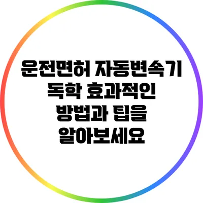 운전면허 자동변속기 독학: 효과적인 방법과 팁을 알아보세요