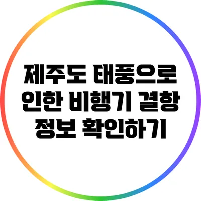 제주도 태풍으로 인한 비행기 결항 정보 확인하기