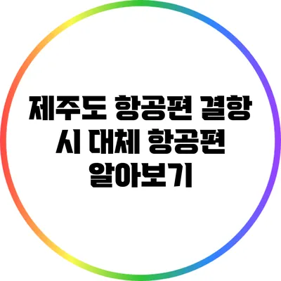 제주도 항공편 결항 시 대체 항공편 알아보기