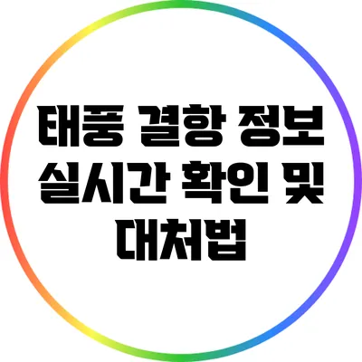 태풍 결항 정보 실시간 확인 및 대처법