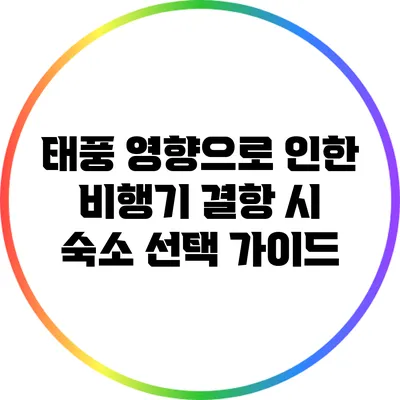 태풍 영향으로 인한 비행기 결항 시 숙소 선택 가이드