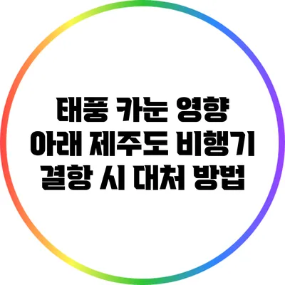 태풍 카눈 영향 아래 제주도 비행기 결항 시 대처 방법