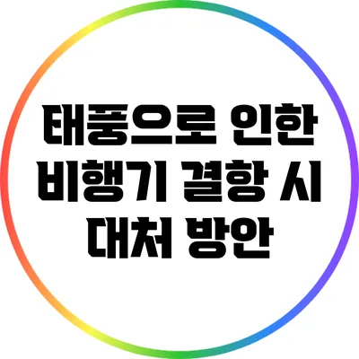 태풍으로 인한 비행기 결항 시 대처 방안