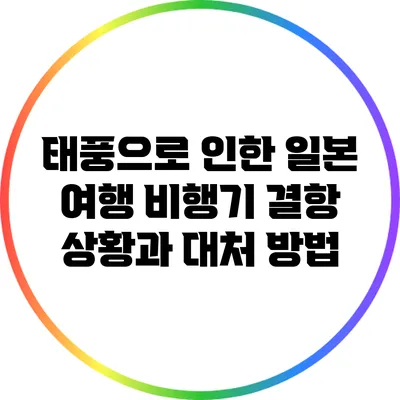 태풍으로 인한 일본 여행 비행기 결항 상황과 대처 방법