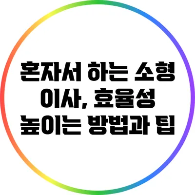 혼자서 하는 소형 이사, 효율성 높이는 방법과 팁