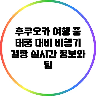후쿠오카 여행 중 태풍 대비: 비행기 결항 실시간 정보와 팁