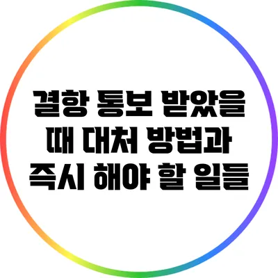결항 통보 받았을 때 대처 방법과 즉시 해야 할 일들