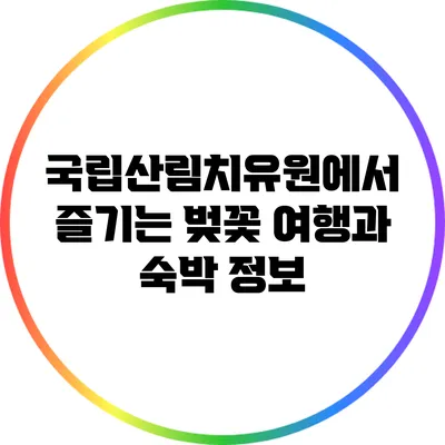 국립산림치유원에서 즐기는 벚꽃 여행과 숙박 정보