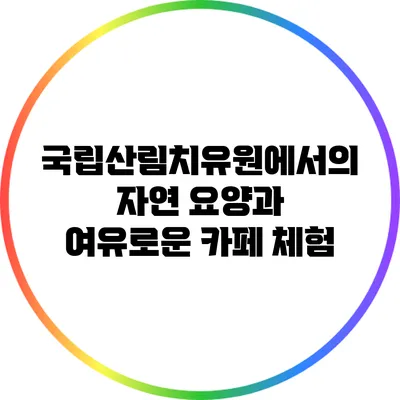 국립산림치유원에서의 자연 요양과 여유로운 카페 체험