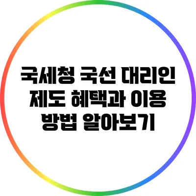국세청 국선 대리인 제도 혜택과 이용 방법 알아보기