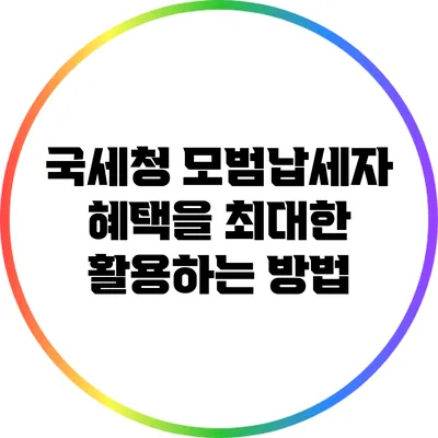 국세청 모범납세자 혜택을 최대한 활용하는 방법