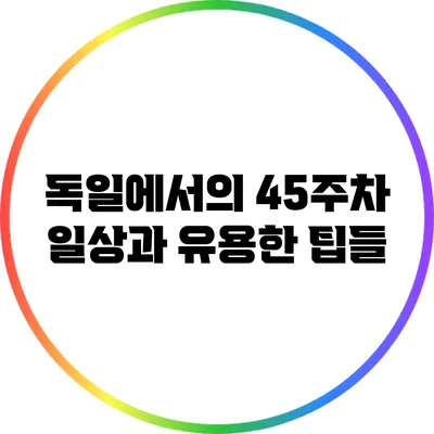 독일에서의 45주차: 일상과 유용한 팁들