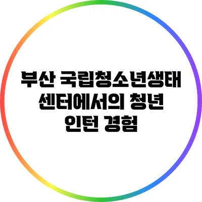 부산 국립청소년생태센터에서의 청년 인턴 경험