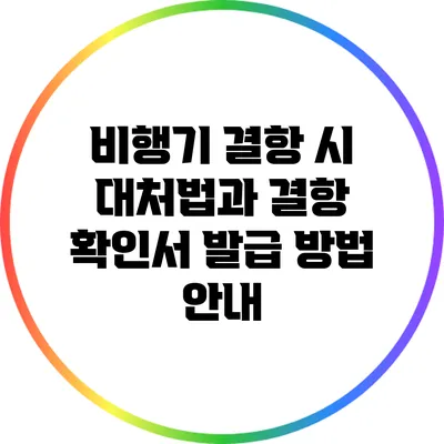 비행기 결항 시 대처법과 결항 확인서 발급 방법 안내