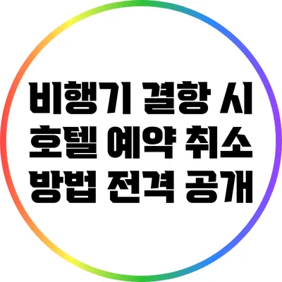 비행기 결항 시 호텔 예약 취소 방법 전격 공개