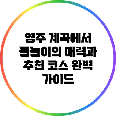 영주 계곡에서 물놀이의 매력과 추천 코스 완벽 가이드