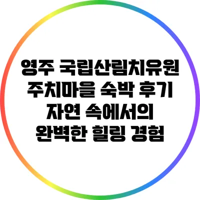 영주 국립산림치유원 주치마을 숙박 후기: 자연 속에서의 완벽한 힐링 경험