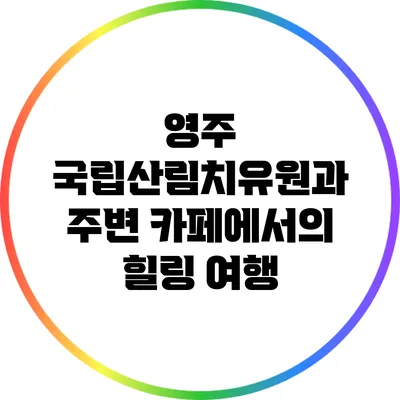 영주 국립산림치유원과 주변 카페에서의 힐링 여행