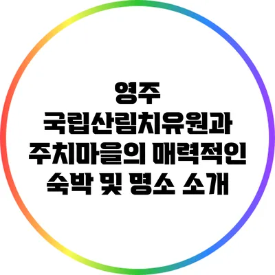 영주 국립산림치유원과 주치마을의 매력적인 숙박 및 명소 소개