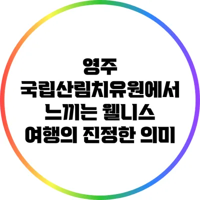 영주 국립산림치유원에서 느끼는 웰니스 여행의 진정한 의미