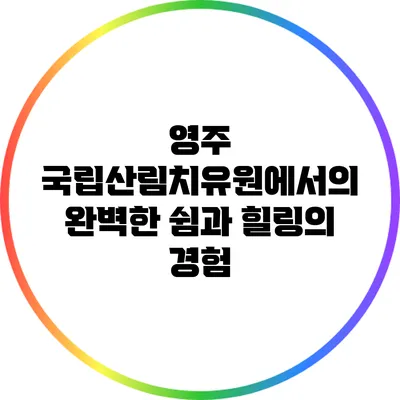 영주 국립산림치유원에서의 완벽한 쉼과 힐링의 경험