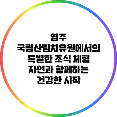 영주 국립산림치유원에서의 특별한 조식 체험: 자연과 함께하는 건강한 시작