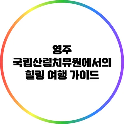 영주 국립산림치유원에서의 힐링 여행 가이드