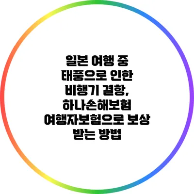 일본 여행 중 태풍으로 인한 비행기 결항, 하나손해보험 여행자보험으로 보상 받는 방법