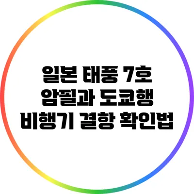 일본 태풍 7호 암필과 도쿄행 비행기 결항 확인법