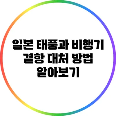 일본 태풍과 비행기 결항 대처 방법 알아보기
