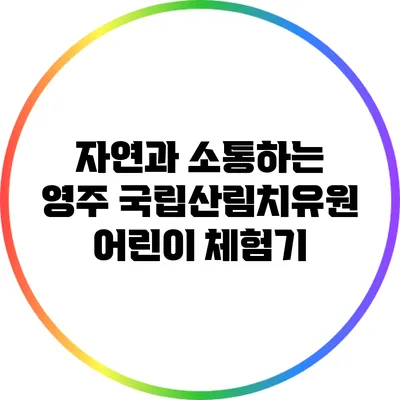 자연과 소통하는 영주 국립산림치유원 어린이 체험기