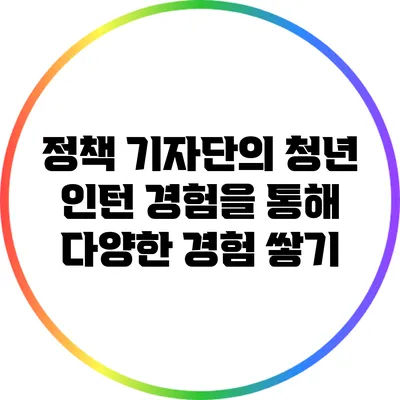 정책 기자단의 청년 인턴 경험을 통해 다양한 경험 쌓기