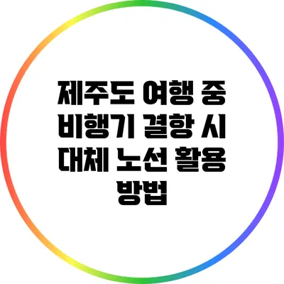 제주도 여행 중 비행기 결항 시 대체 노선 활용 방법
