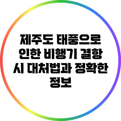 제주도 태풍으로 인한 비행기 결항 시 대처법과 정확한 정보