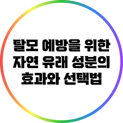 탈모 예방을 위한 자연 유래 성분의 효과와 선택법