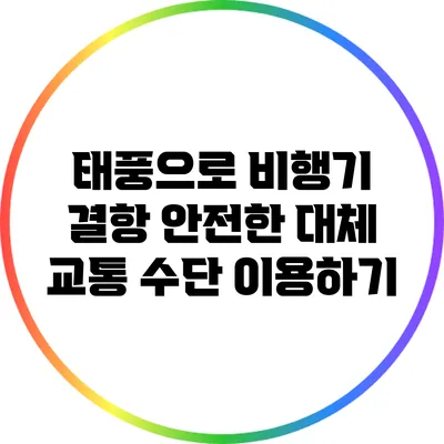 태풍으로 비행기 결항? 안전한 대체 교통 수단 이용하기