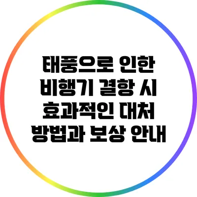 태풍으로 인한 비행기 결항 시 효과적인 대처 방법과 보상 안내