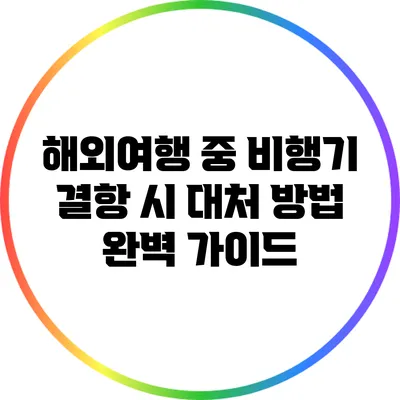 해외여행 중 비행기 결항 시 대처 방법 완벽 가이드