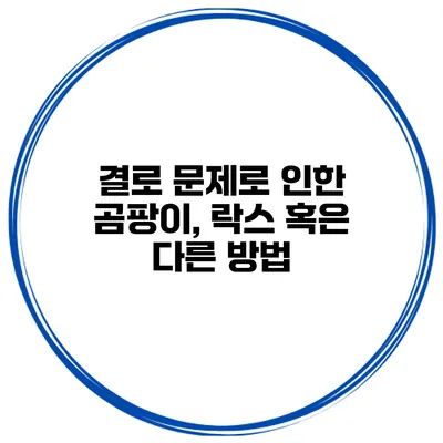 결로 문제로 인한 곰팡이, 락스 혹은 다른 방법?